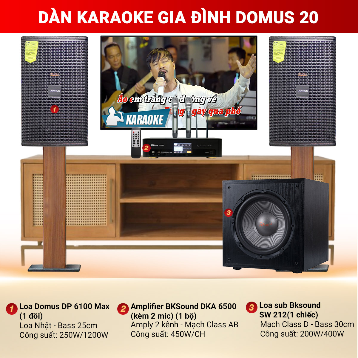 D&agrave;n Karaoke Gia Đ&igrave;nh Domus 20