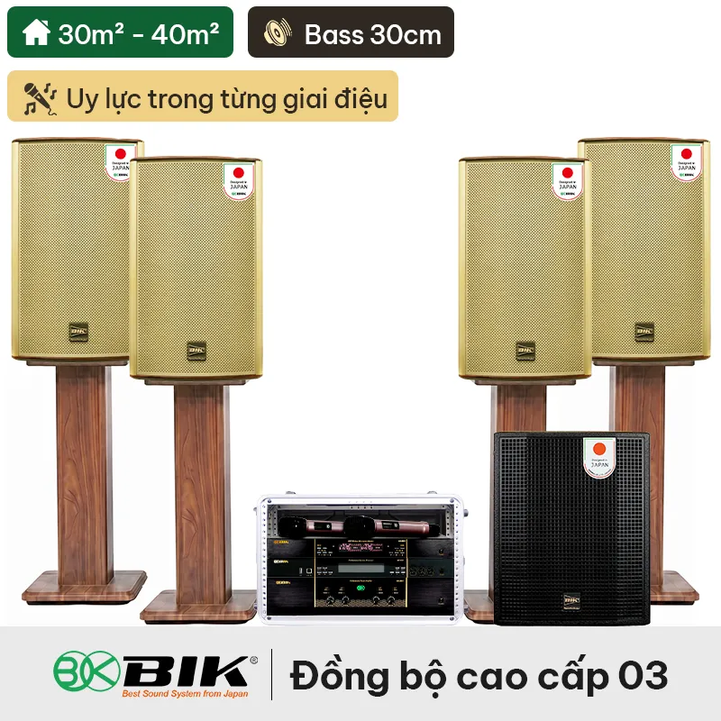 Dàn karaoke gia đình đồng bộ BIK cao cấp 03