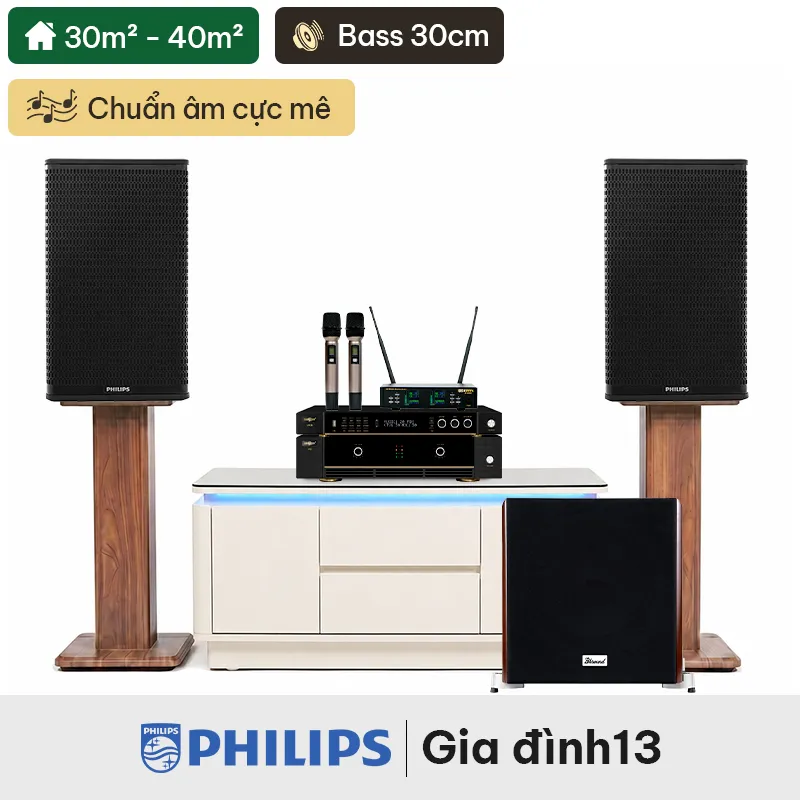 Dàn karaoke gia đình Philips 13