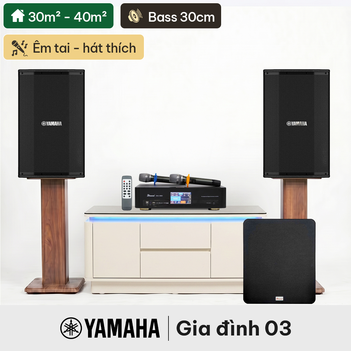 Dàn karaoke gia đình Yamaha 03