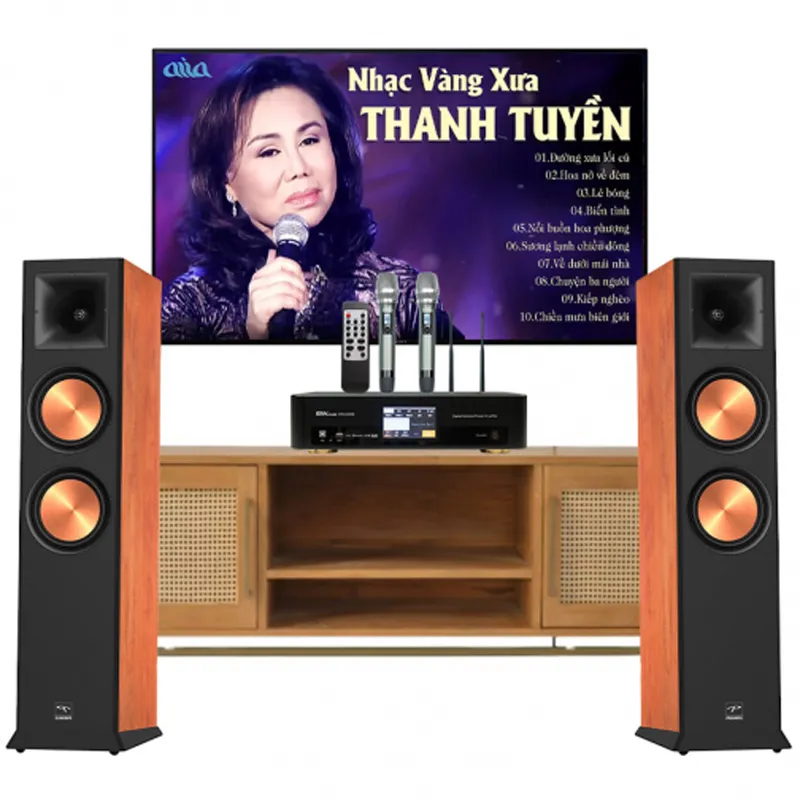 Dàn Nghe nhạc và Hát karaoke Paramax 03
