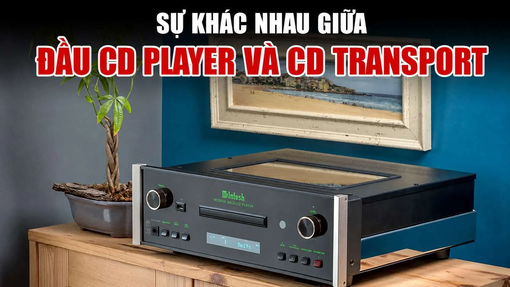 Phân Biệt Đầu CD Player và CD Transport Chi Tiết Nhất