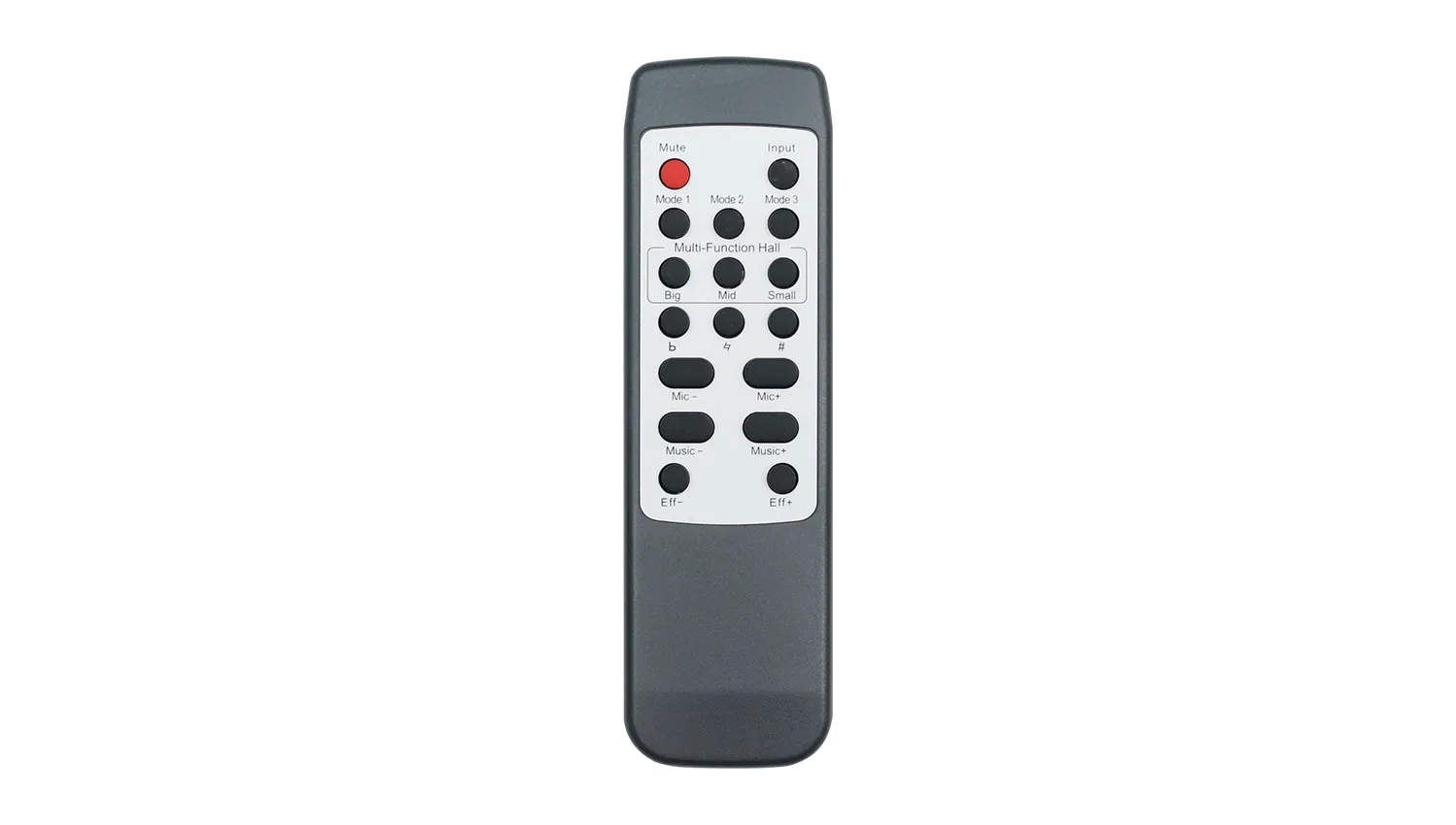 Digital Karaoke Power Amplifier BKSound DKA 6500