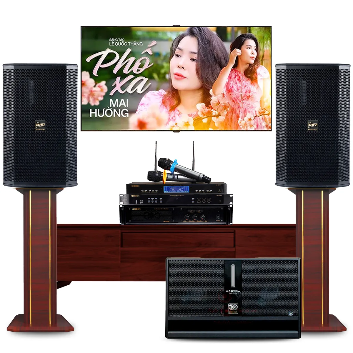 Dàn karaoke gia đình BIK 47