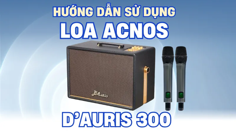 Hướng Dẫn Sử Dụng Loa Acnos D Auris 300 Chuẩn Nhà Sản Xuất: Từ Kết Nối Đến Chỉnh Âm