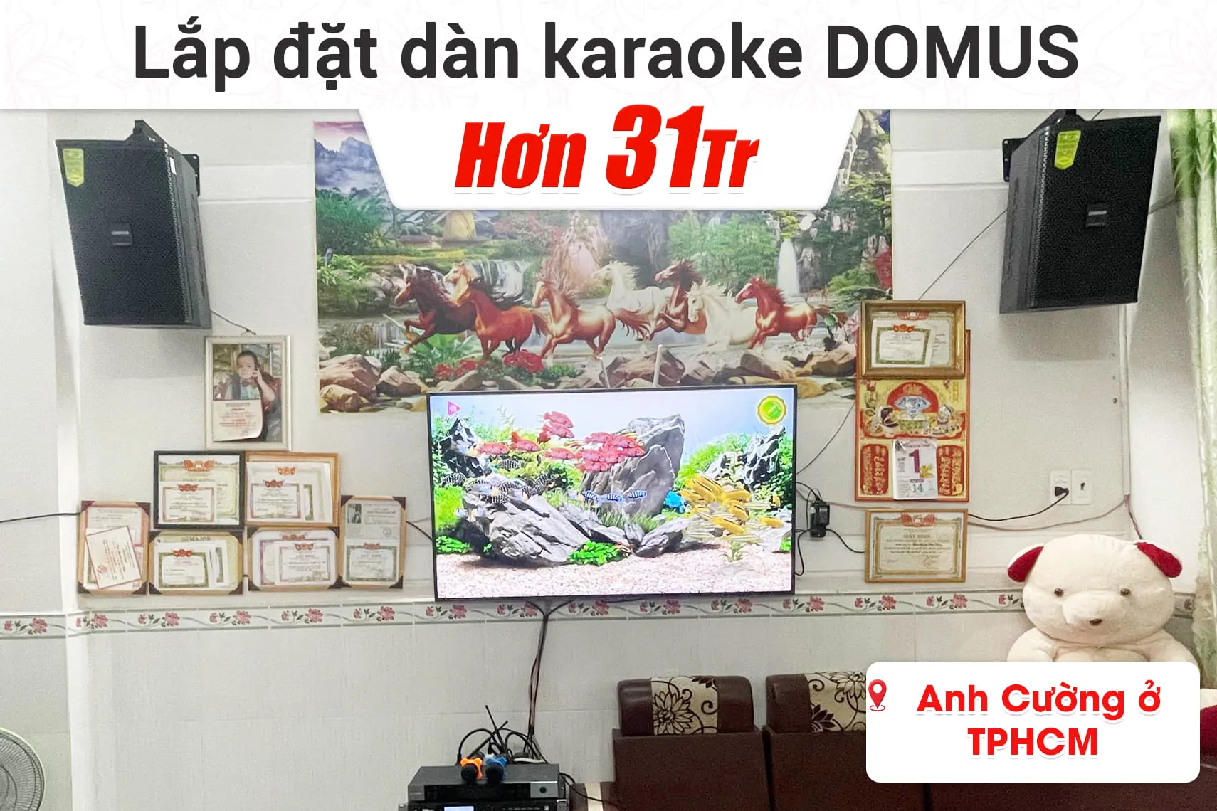 Lắp đặt dàn karaoke Domus hơn 31tr cho anh Cường ở TPHCM