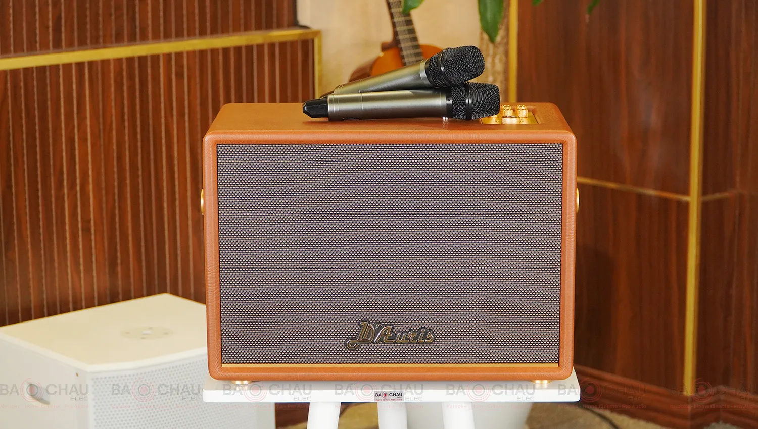 Acnos D&rsquo;Auris 300