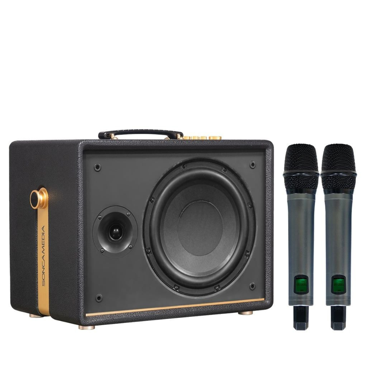 Loa Acnos D Auris 200 (Bass 25cm, 150W RMS, Kèm 2 micro) - Hình 1