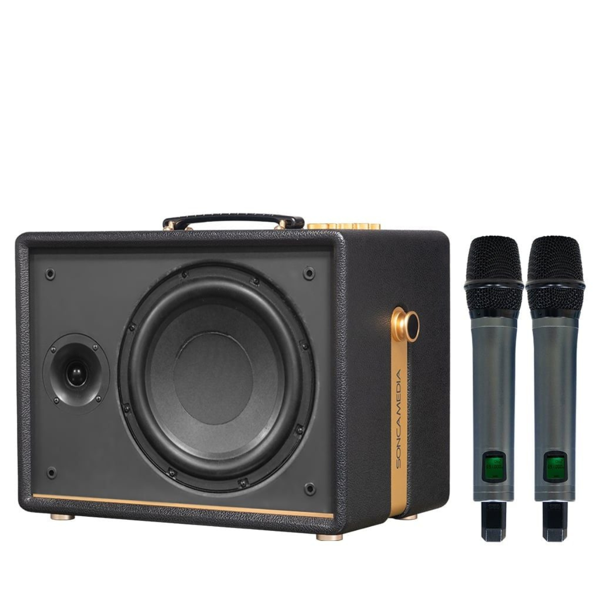 Loa Acnos D Auris 200 (Bass 25cm, 150W RMS, Kèm 2 micro) - Hình 1