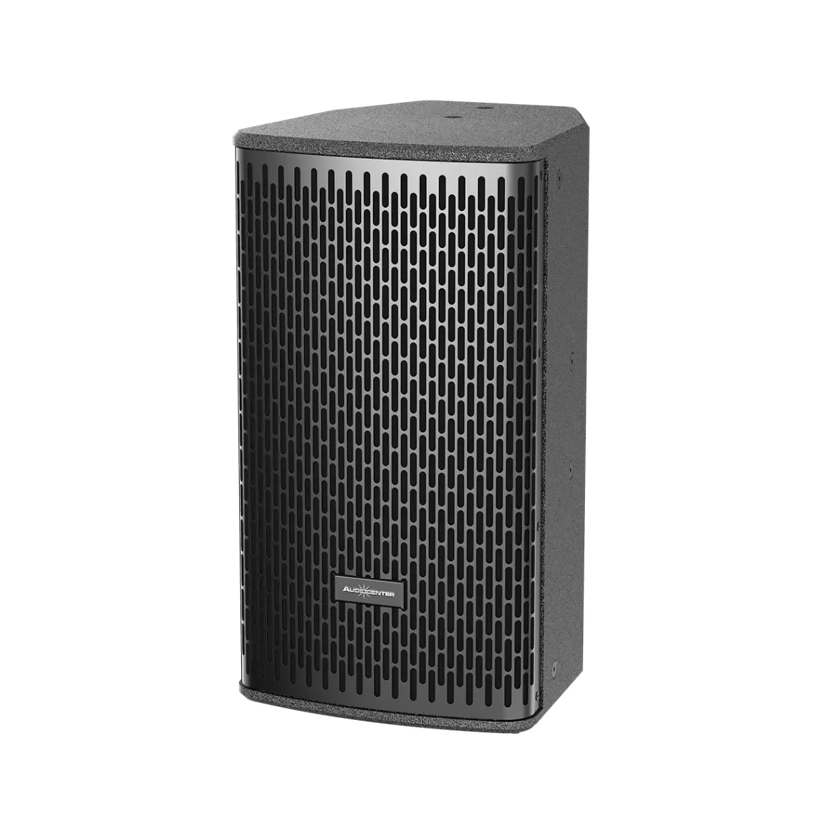 Loa Audiocenter DS10 (Passive, Bass 25cm, 250W RMS,IP54) - Hình 2