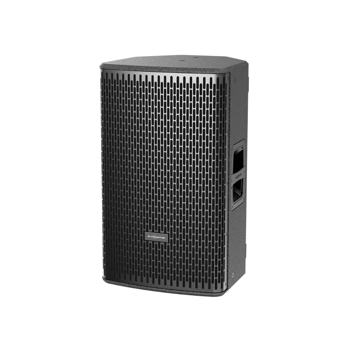 Loa Audiocenter DS12 (Passive, Bass 30cm, 400W RMS, IP54) - Hình 2