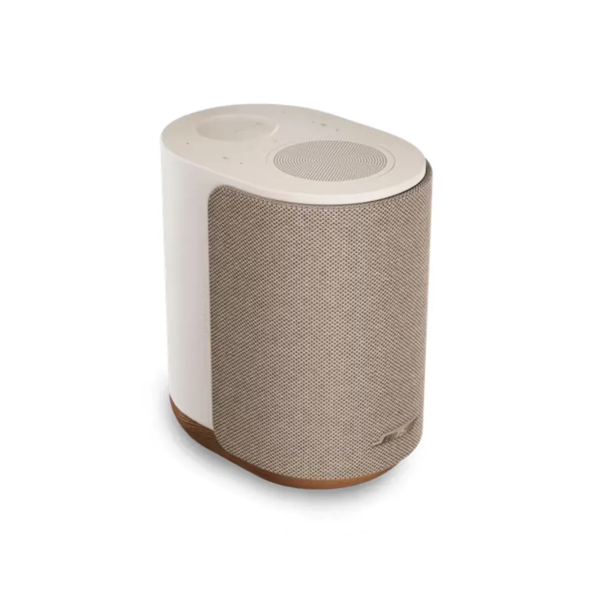 Loa Bose Lifestyle Ultra Speaker