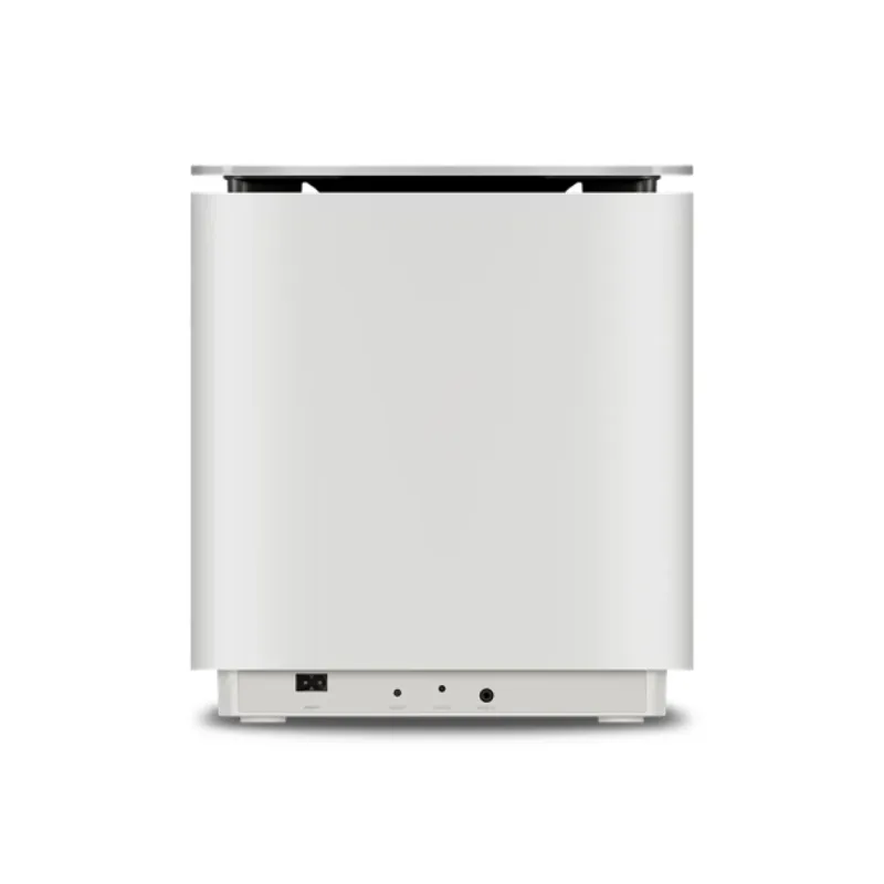 Loa Bose Lifestyle Ultra Subwoofer