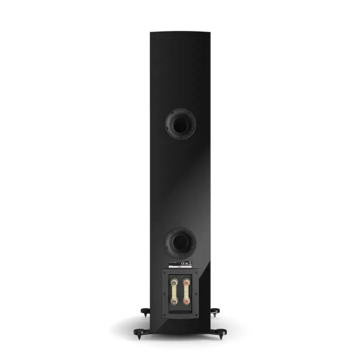 Loa Dali Rubikore 6 - Hình 1