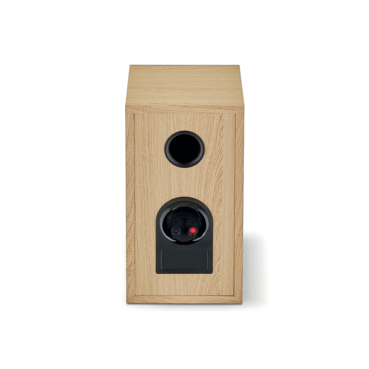 Loa Focal Theva N1 (Bookshelf) - Hình 2