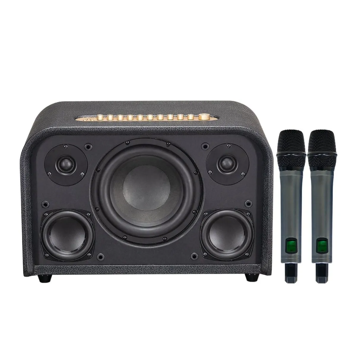 Loa Acnos Acoustic 3 Compact