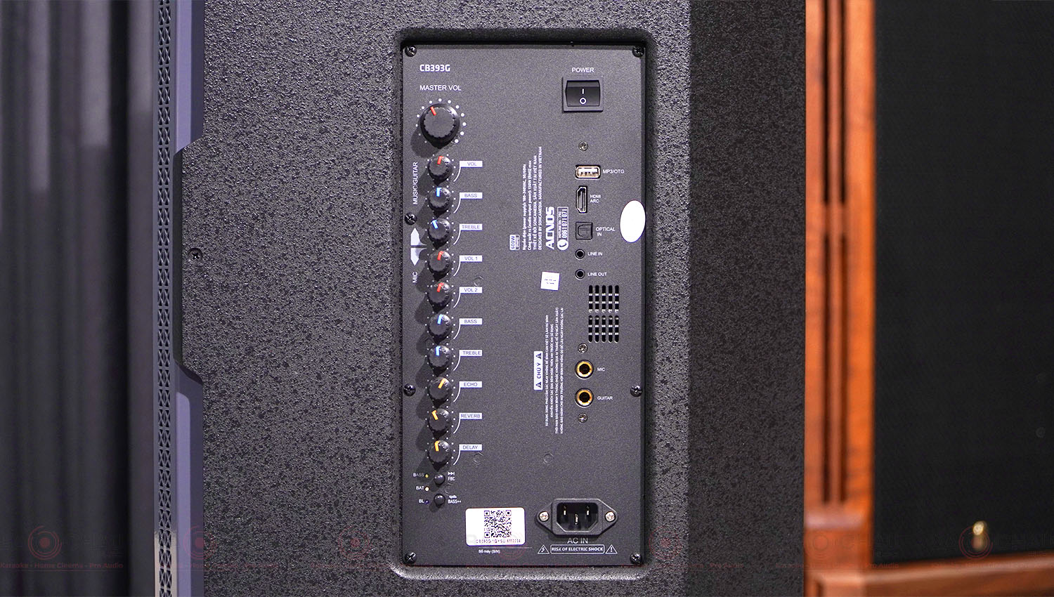 Loa k&eacute;o ACNOS CB393G