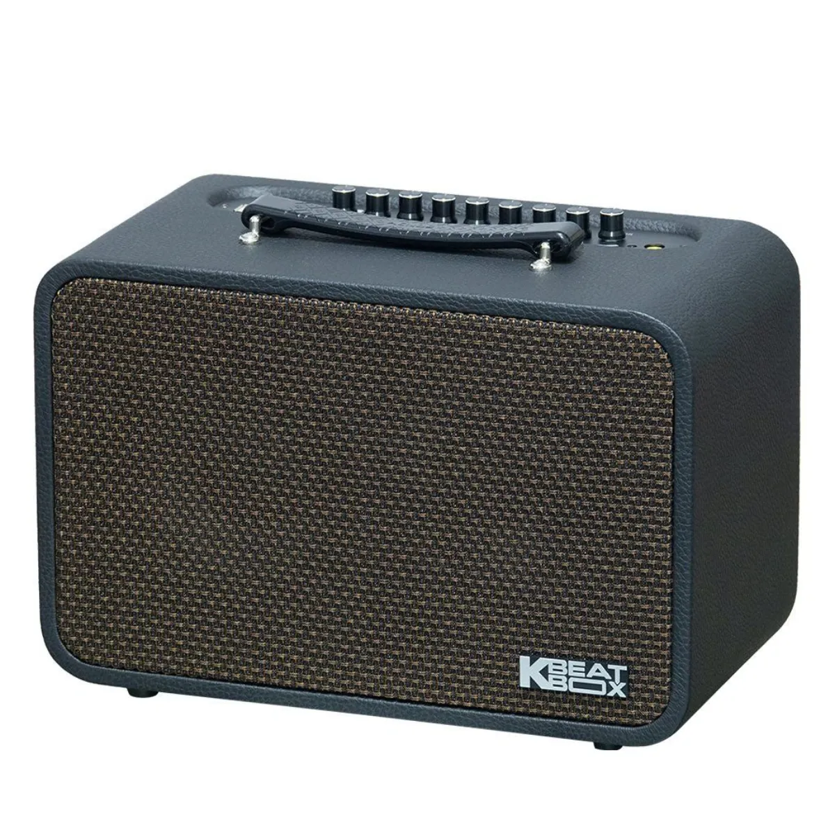 Loa Acnos CS160Pro