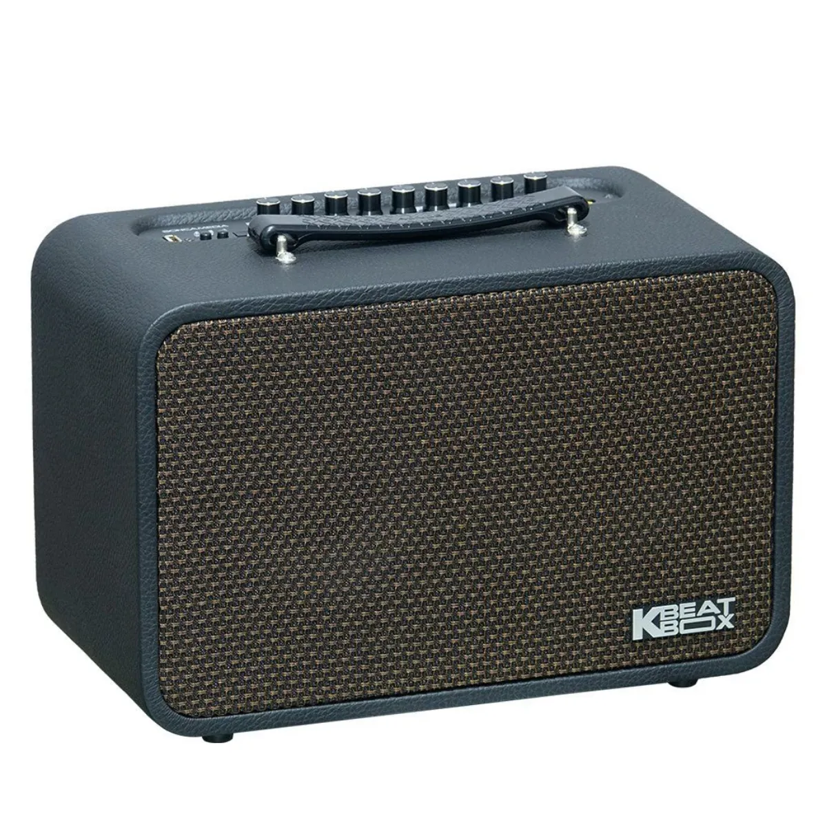 Loa Acnos CS160Pro
