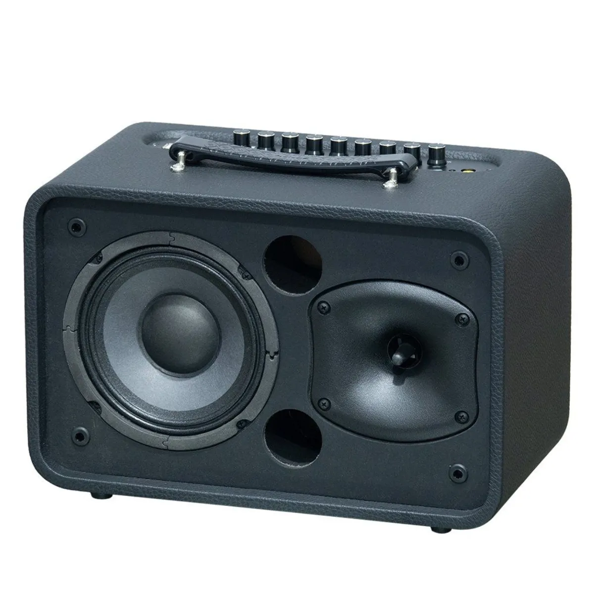 Loa Acnos CS160Pro