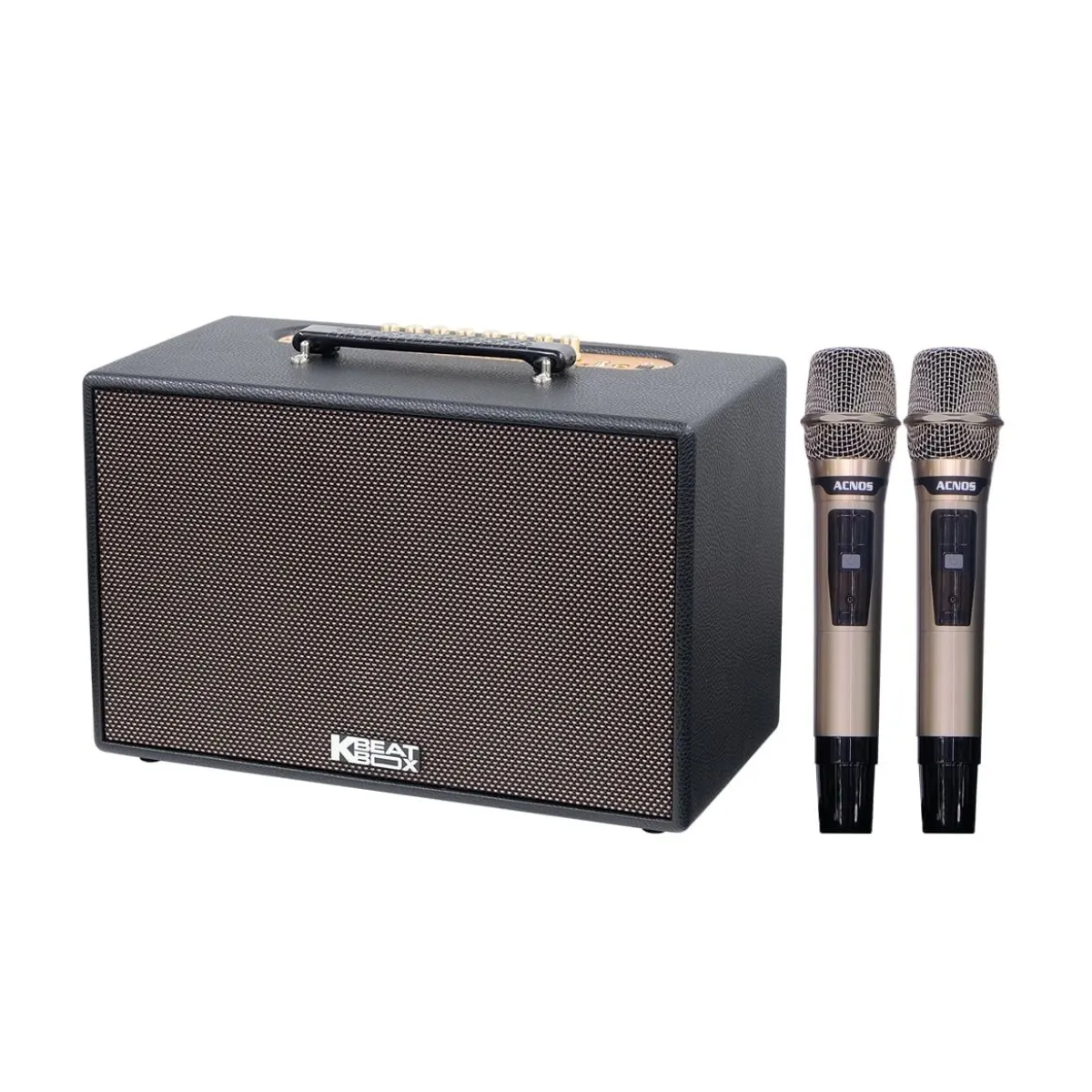 Loa Acnos CS201Plus
