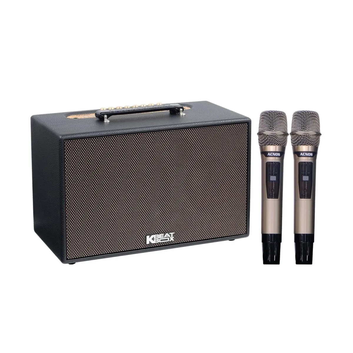Loa Acnos CS201Plus