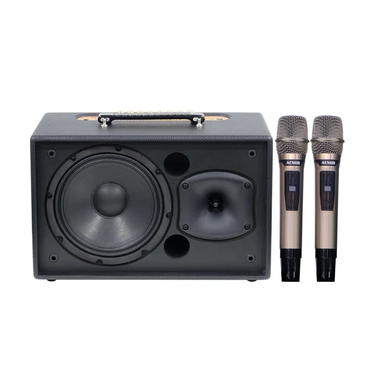 Loa Acnos CS201Plus
