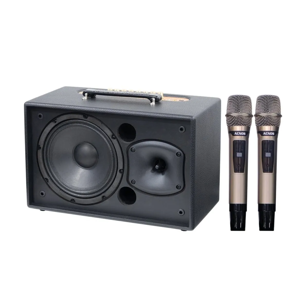 Loa Acnos CS201Plus