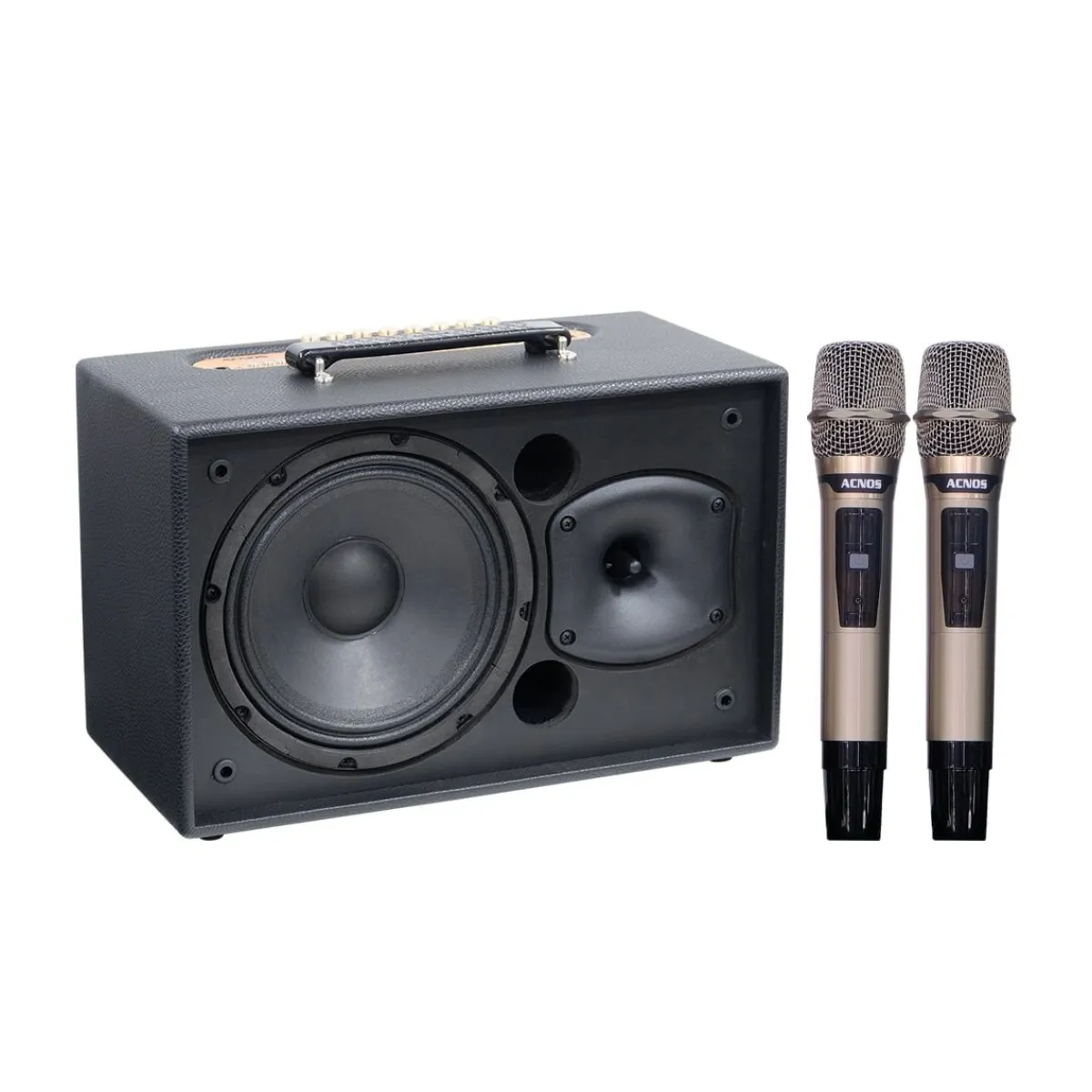 Loa Acnos CS201Plus