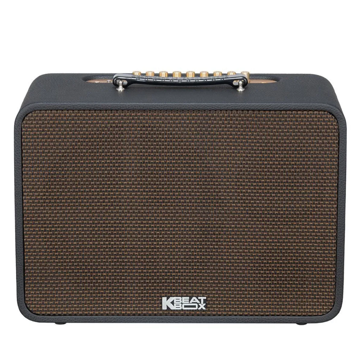 Loa Acnos CS250Pro