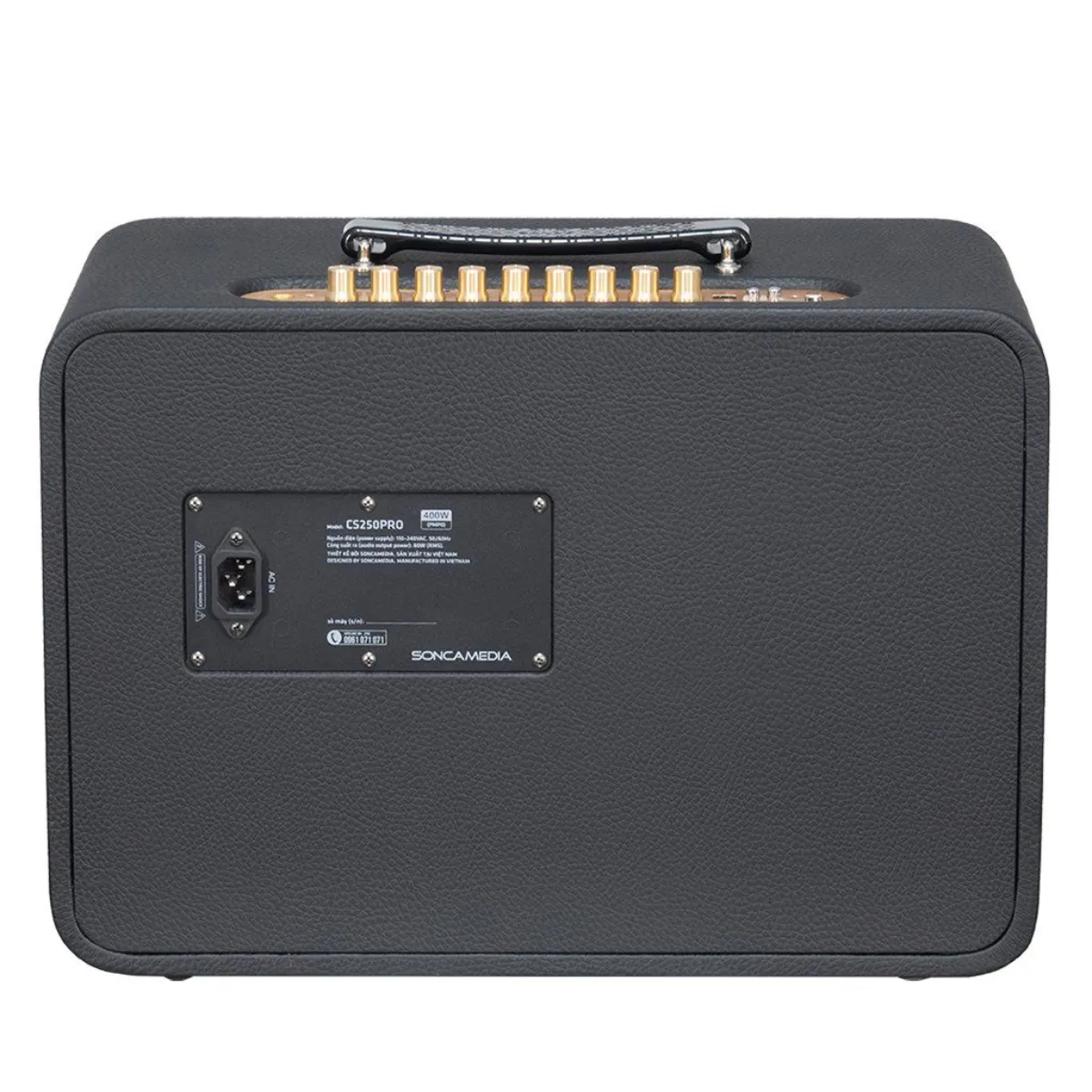 Loa Acnos CS250Pro