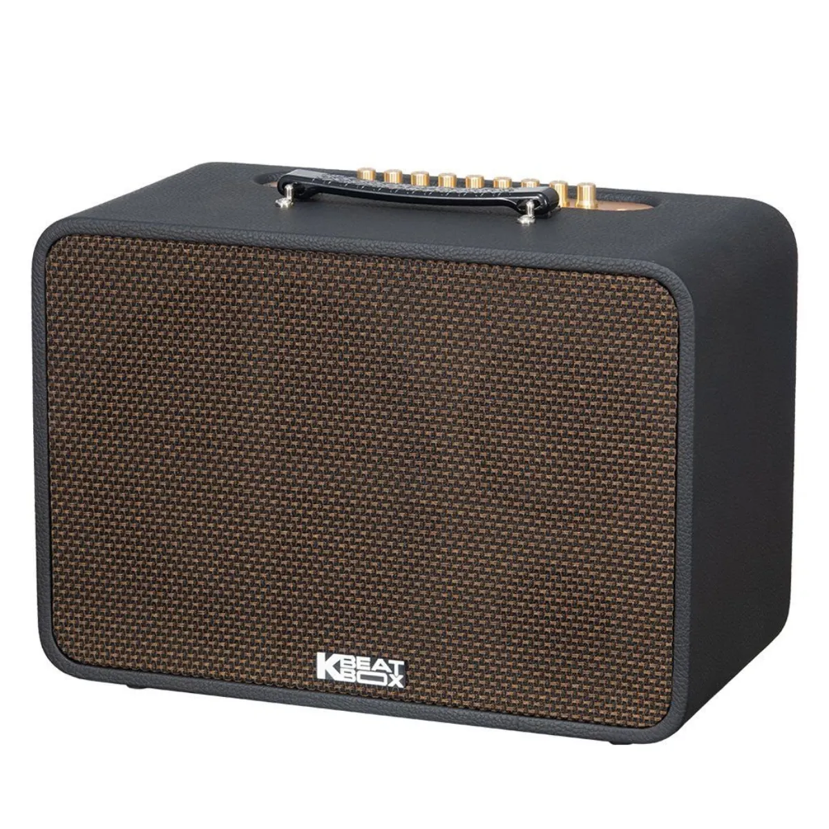 Loa Acnos CS250Pro