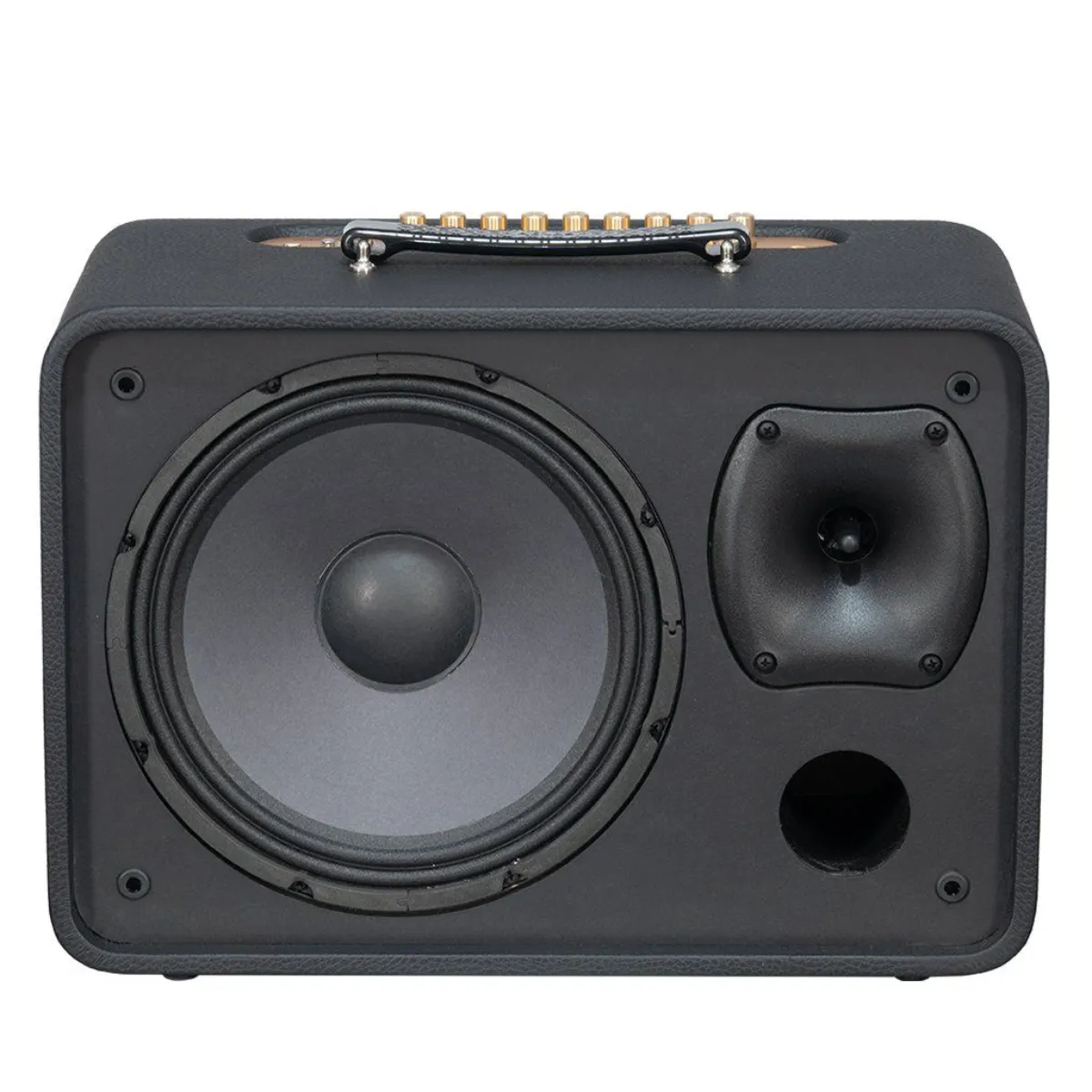 Loa Acnos CS250Pro