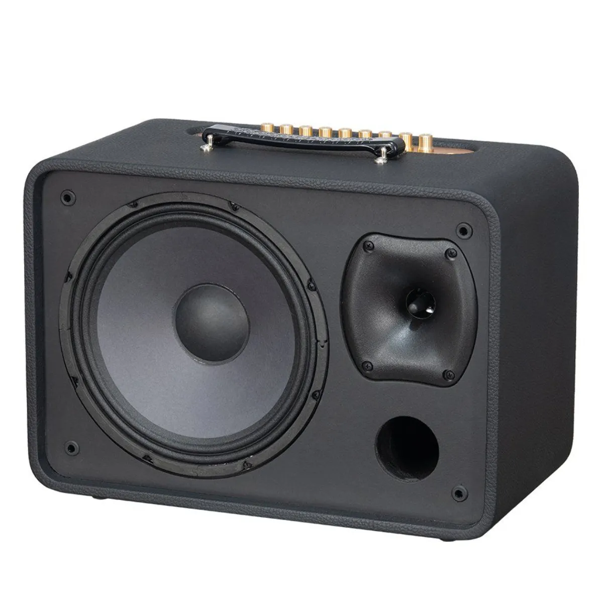 Loa Acnos CS250Pro