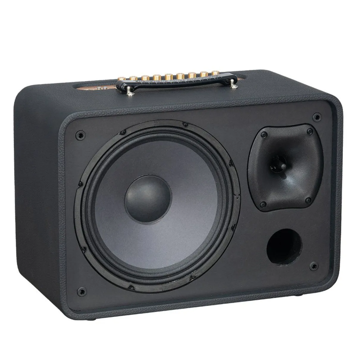 Loa Acnos CS250Pro