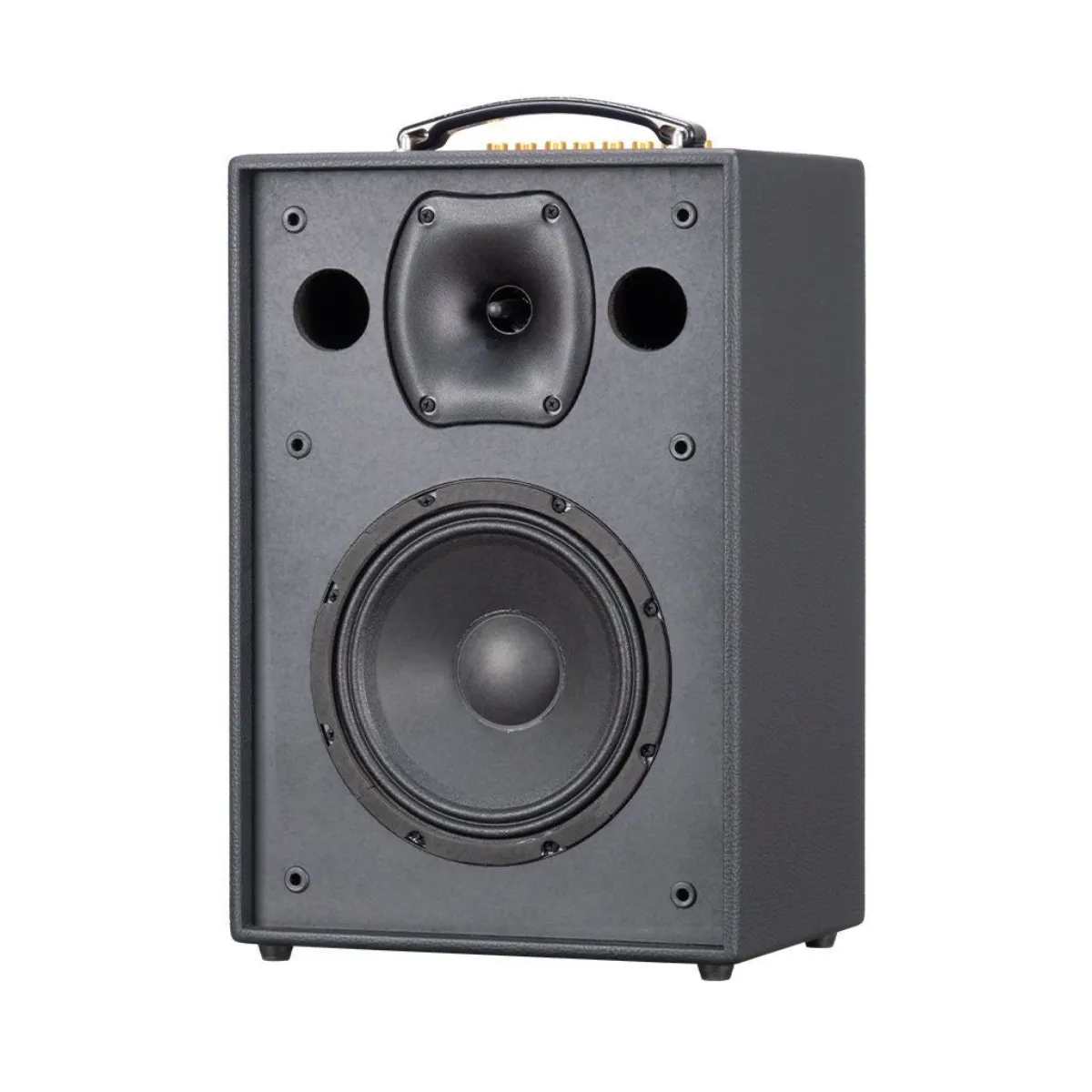 Loa Xách Tay Acnos CS286 Plus