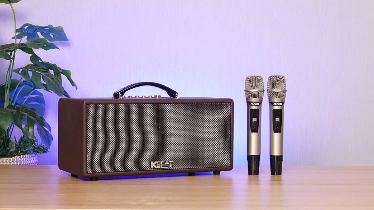 Loa x&aacute;ch tay Acnos CS366 Plus
