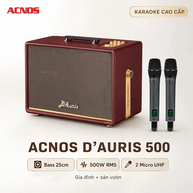 Loa Acnos D’Auris 500