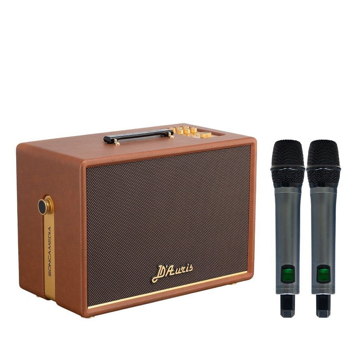 Loa Acnos D’Auris 300 (Bass 25cm, 200W/800W, Kèm 2 micro) - Hình 3