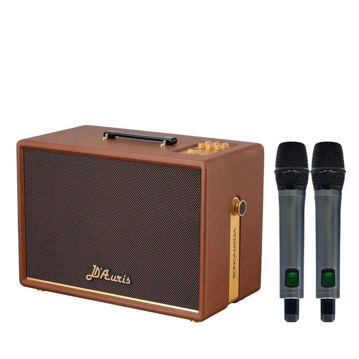 Loa Acnos D’Auris 300 (Bass 25cm, 200W/800W, Kèm 2 micro) - Hình 1