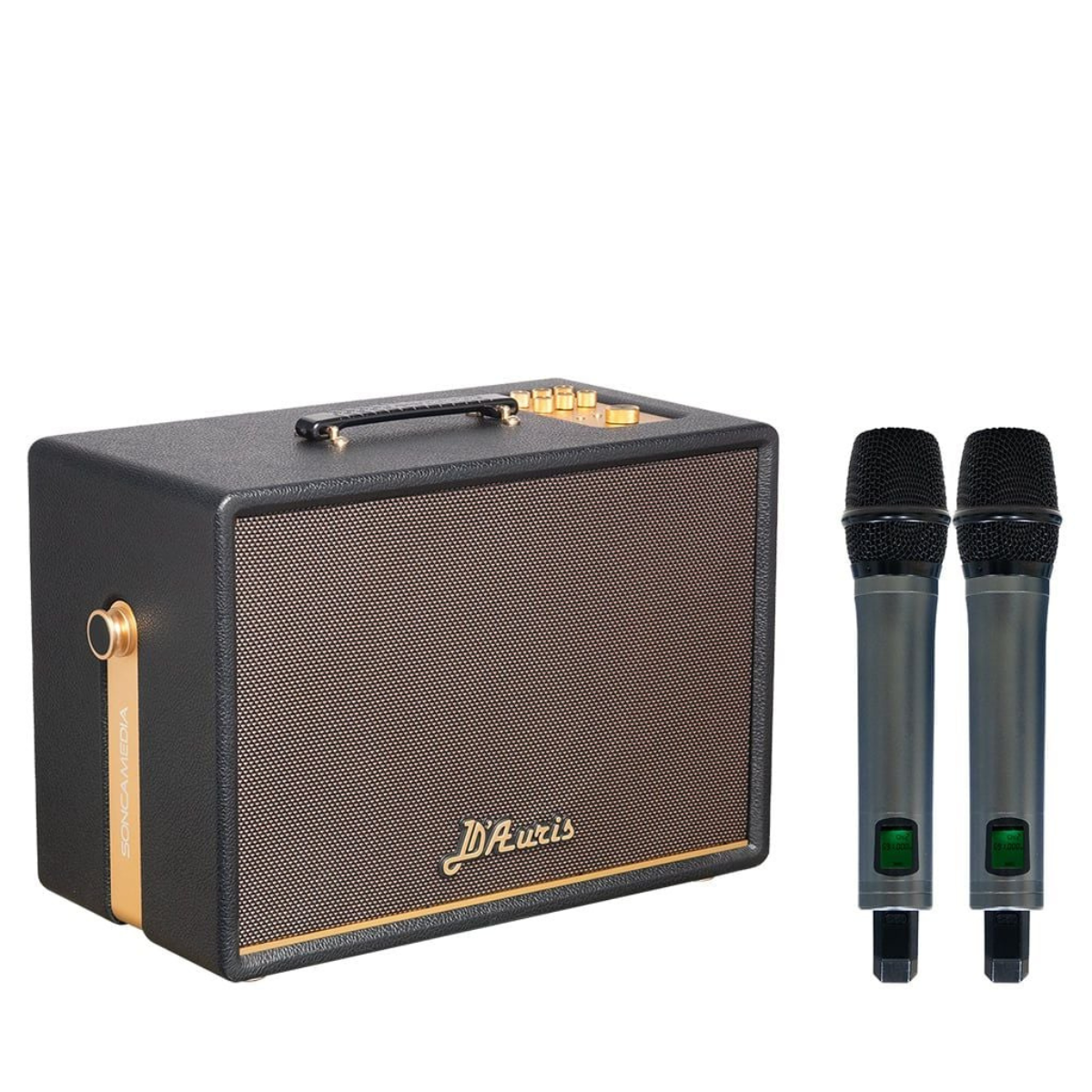 Loa Acnos D’Auris 300