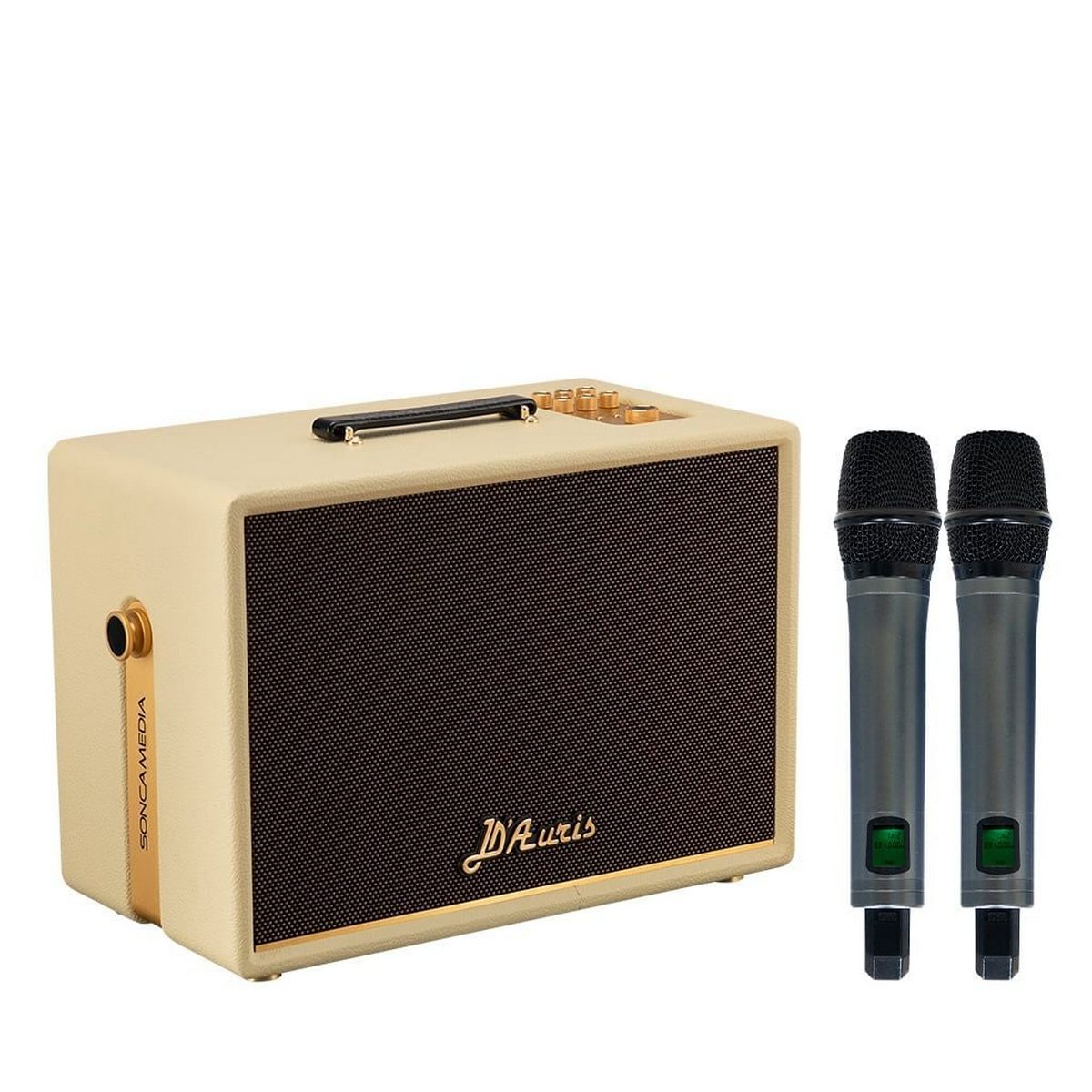 Loa Acnos D’Auris 300 (Bass 25cm, 200W/800W, Kèm 2 micro) - Hình 1