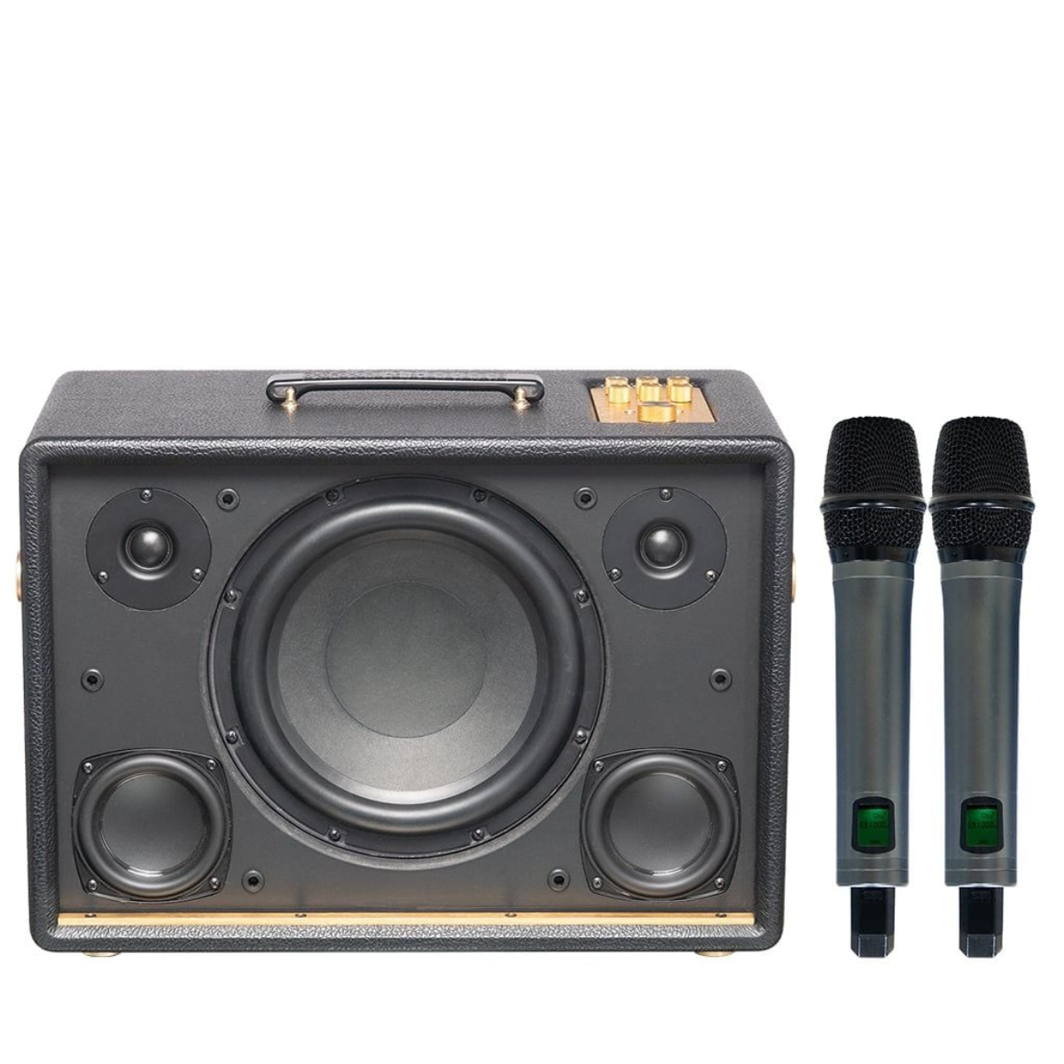 Loa Acnos D’Auris 300