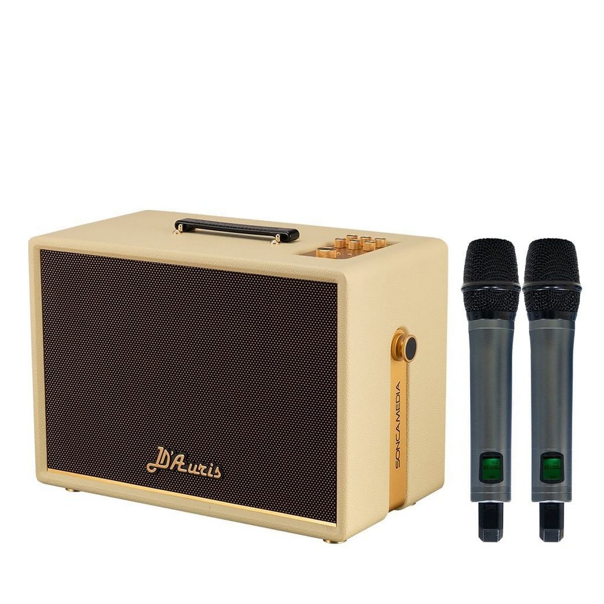 Loa Acnos D’Auris 300 (Bass 25cm, 200W/800W, Kèm 2 micro) - Hình 1