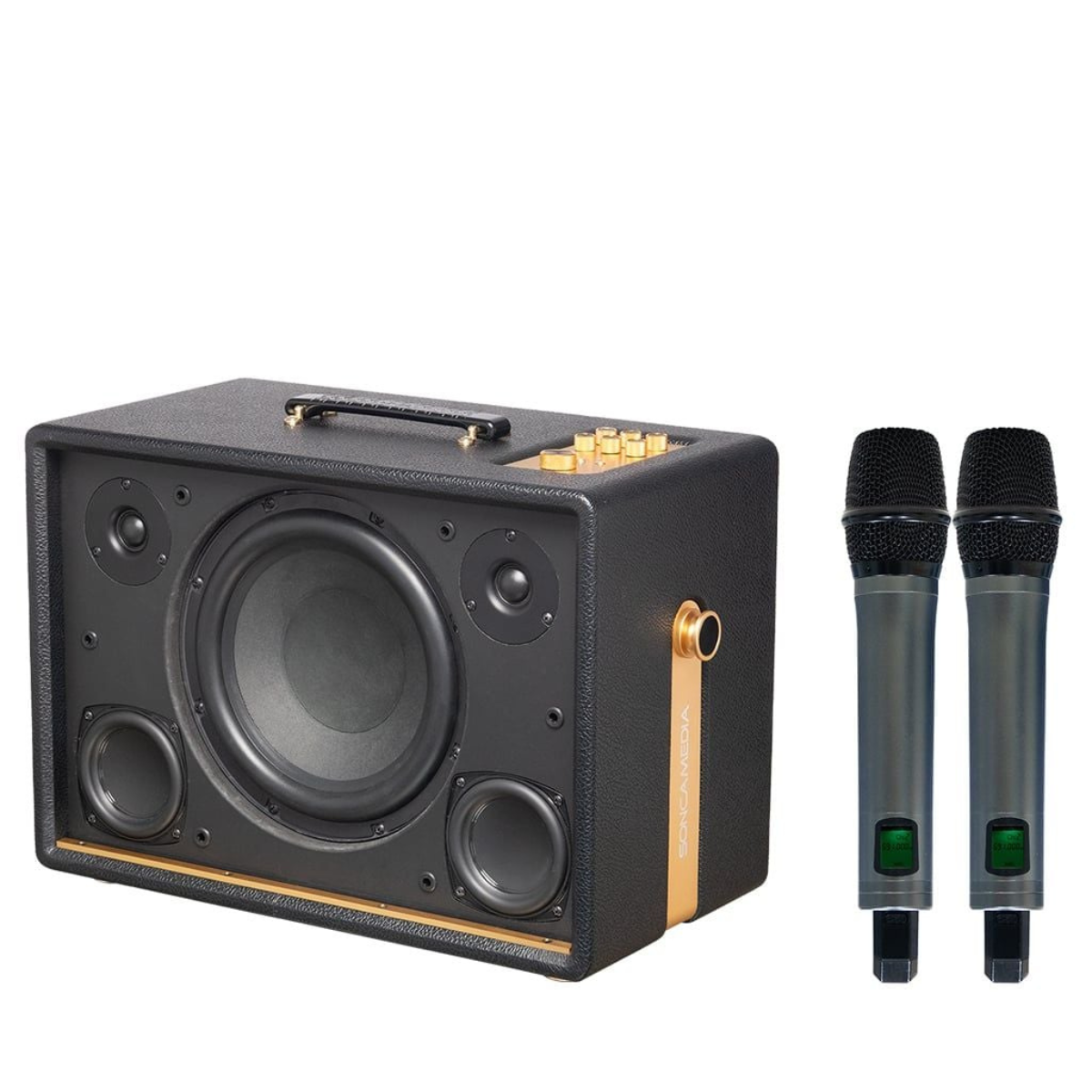 Loa Acnos D’Auris 300