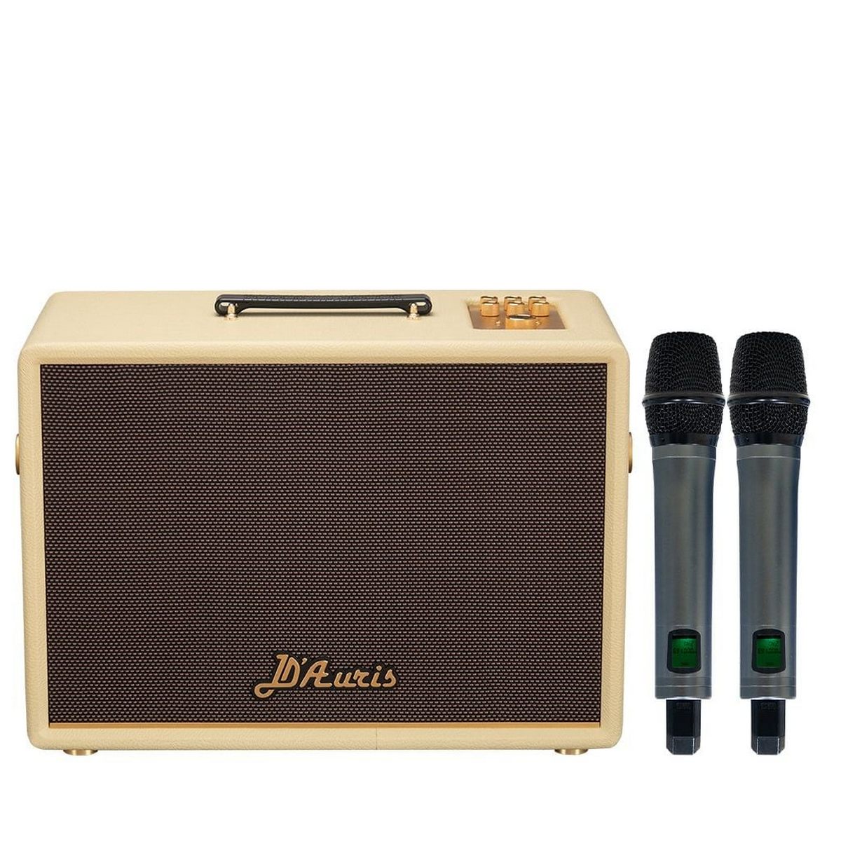 Loa Acnos D’Auris 500 (Bass 25cm, 500W/2000W, Bluetooth 5.0, Kèm 2 micro) - Hình 4