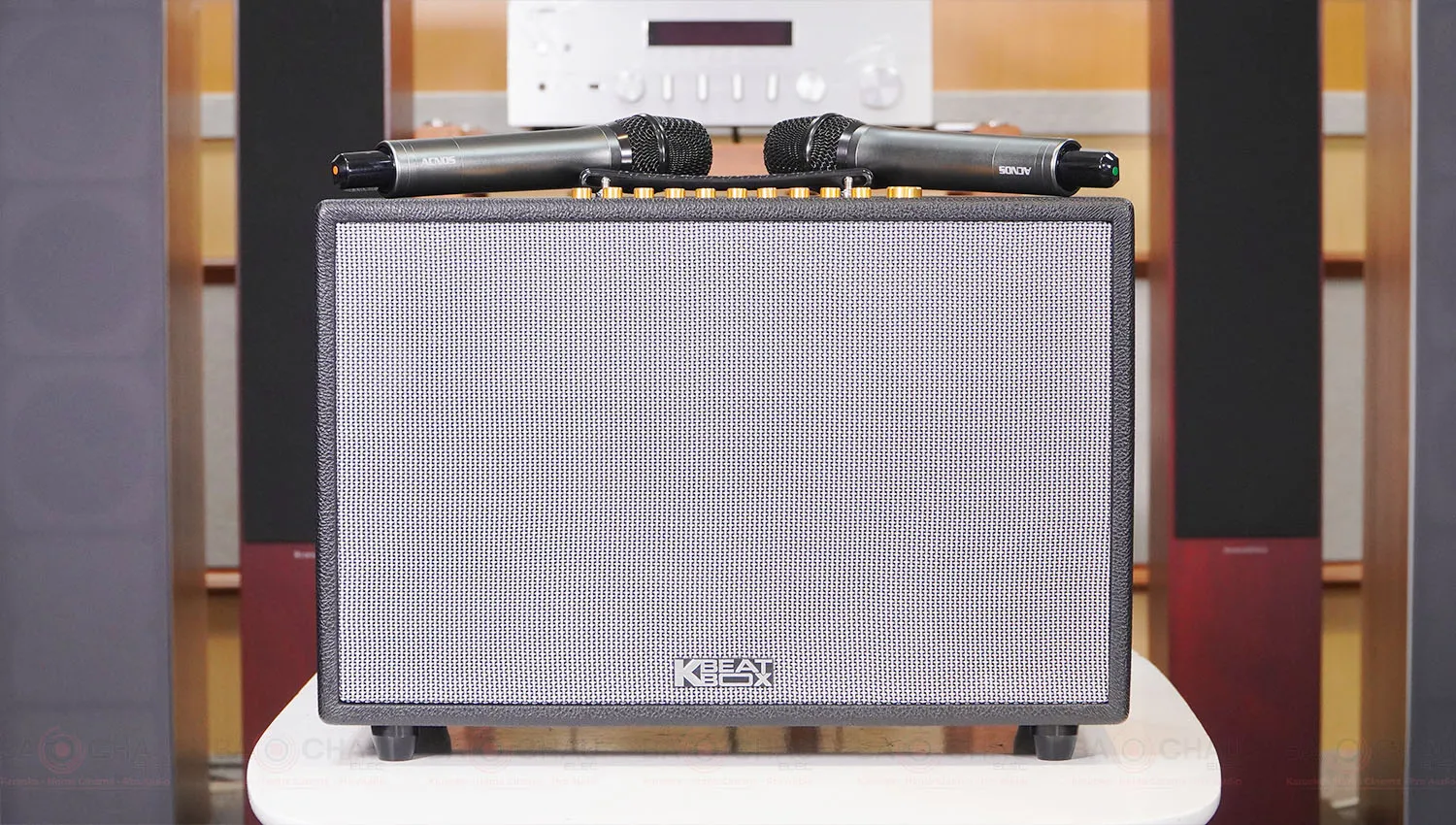 Loa Acnos Hinet 3600 Gen 2