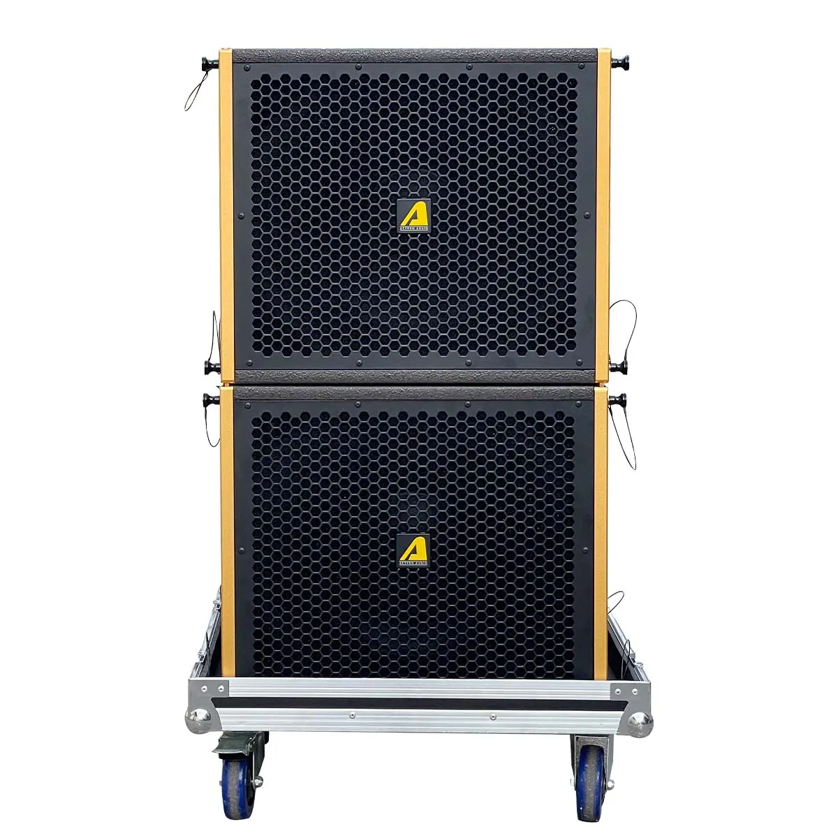 Loa Array Midlow Actpro SA-15SN