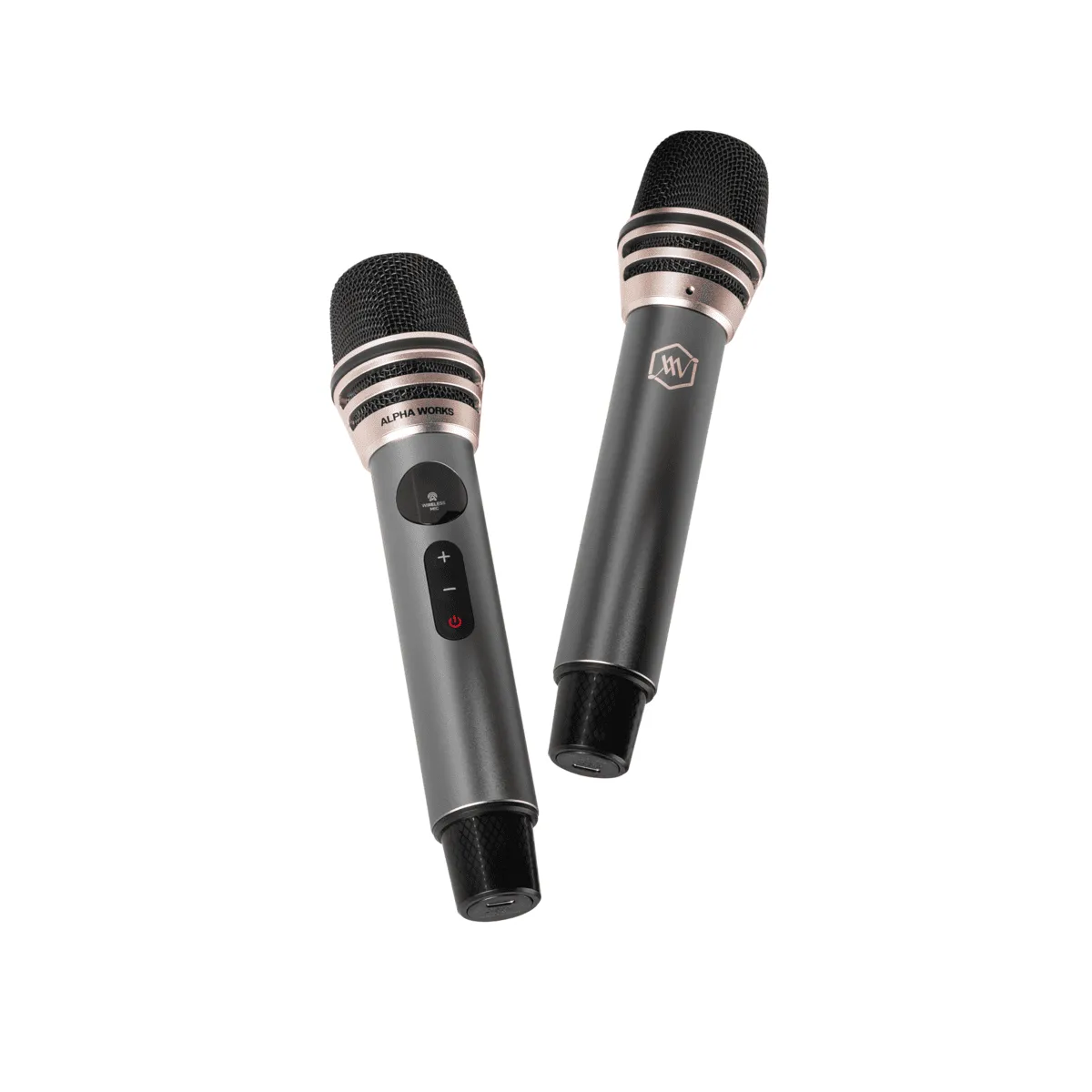 Loa Alpha Works W99 (220W, Pin 14h, Bluetooth V6.0, Kèm 2 micro) - Hình 1