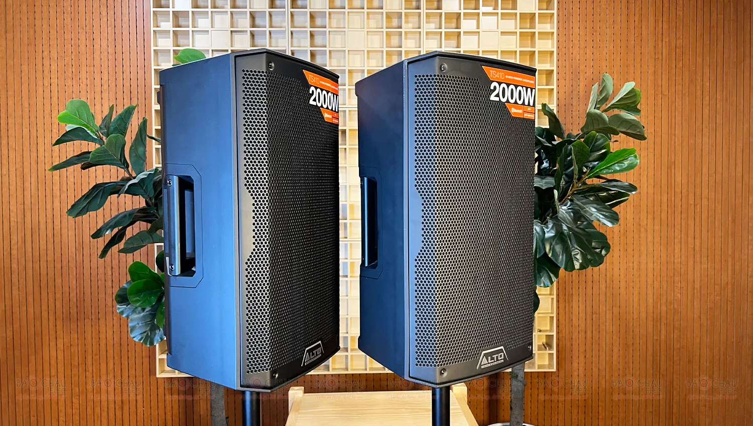 Loa Alto TS410